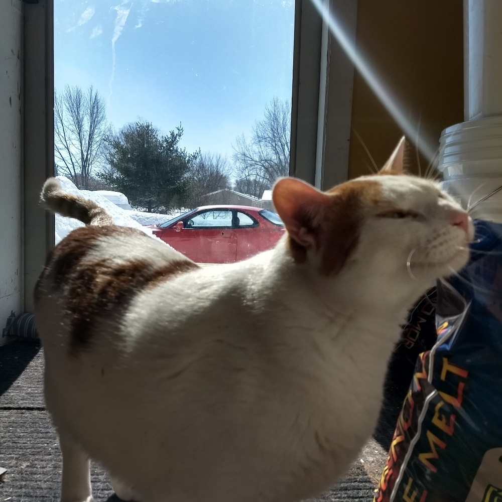 100k THANK YOU FRIENDS - Picture 14 of 14